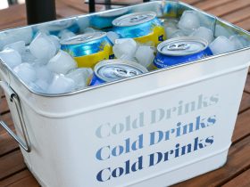 Paradise Found: Gulf Shore Getaways Await