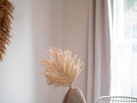 Salty Sensations: Exploring Vacation Rentals by the Sea