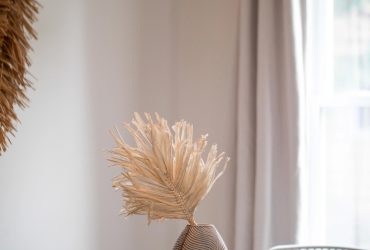 Salty Sensations: Exploring Vacation Rentals by the Sea